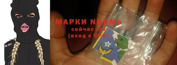 прущий лед Каменка