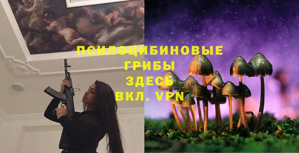 спайс Каменногорск