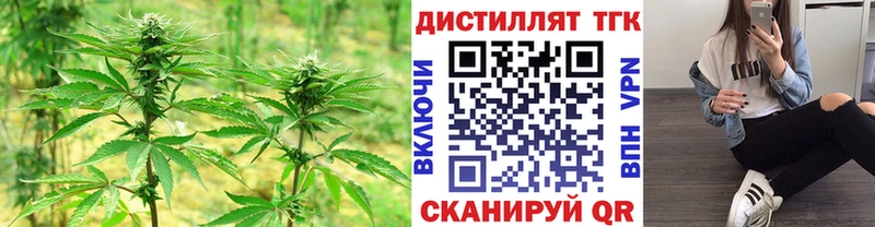 ТГК Wax  Купить где  Зубцов 